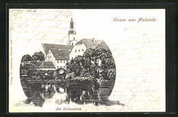 AK Pulsnitz, Partie Am Schlossteich - Pulsnitz