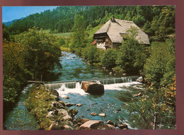 CPM Neuve Allemagne Schwarzwald Idyll An Der GUTACH - Gutach (Schwarzwaldbahn)