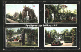 AK Burgstädt, Park Herrenhaide - Burgstaedt