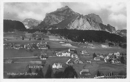 Wildhaus Mit Schafberg 1930 - Berg