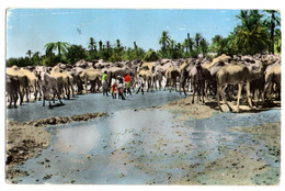 Tunisie -- GAFSA --1961-- Oued Baiech  ...(animée).............. ....timbre.....cachets  . ...griffes - Tunesien