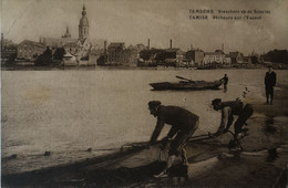 Temsche - Tamise // Visschers Op De Schelde 192? - Temse