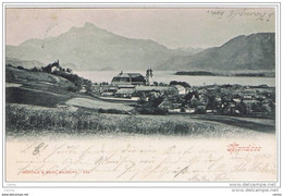 MONDSEE:  BLICK  -  NACH  SALZBURG  -  KLEINFORMAT - Mondsee