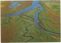 De Waddenzee - Slenken Op Het Wad - (Holland) - Aerophoto Eelde - Altri & Non Classificati