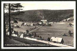 AK Rehefeld I. Erzg., Blick Auf Grenzbaude Und Jägerhof - Rehefeld