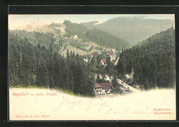 AK Kipsdorf I. Sächs. Erzg., Blick Auf Den Friedlichen Ort Im Tal - Kipsdorf