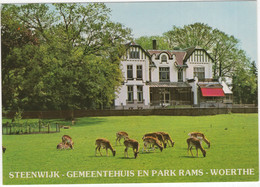 Steenwijk - Gemeentehuis En Park Rams - Woerthe  - (Ov., Nederland)  - Ree/Hert - Steenwijk