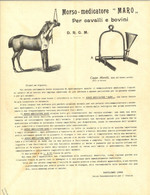 MORSO MEDICATORE PER CAVALLI - Foglio Pubblicitario 1900 Cm 22x29 (1278) - Equitation