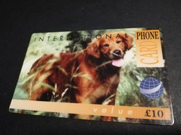 GREAT BRITAIN   10 POUND   WILD  LIFE COLLECTION    DOG/SETTER     DIT PHONECARD    PREPAID CARD      **5930** - [10] Sammlungen