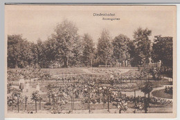(40584) AK Diedenhofen, Thionville, Rosengarten 1910er - Lothringen