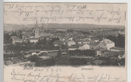 (79381) AK Dieuze, Duß, Lothringen, Panorama 1903 - Lothringen