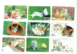 9 TELECARTES PHONECARDS GATOS CATS - Autres - Asie