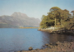 Postcard Loch Maree Wester Ross My Ref B24938MD - Ross & Cromarty