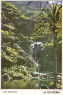 Chejelipes, La Gomera, Canary Islands-Nov 1991-Islas Canarias - Gomera