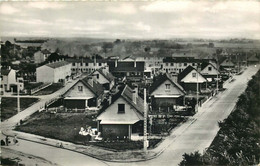 ESSONNE  SAINTE GENEVIEVE DES BOIS Cité Aristide Briand ( Cpsm ) - Sainte Genevieve Des Bois