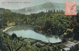 Leg Of Mutton Lake Mount Gambier  P. Used F. De Boissieu Chateau De La Foret Toulon Sur Allier . Light Crease - Mt.Gambier