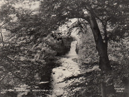 CARTOLINA  MIDDLETON-IN-TEESDALE,DURHAM,INGHITERRA,REGNO UNITO,HIGH FORCE,NON VIAGGIATA - Altri & Non Classificati