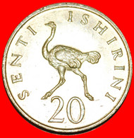 * BIRD (1966-1984): TANZANIA ★ 20 SENTI 1966! LOW START ★ NO RESERVE! - Tanzania