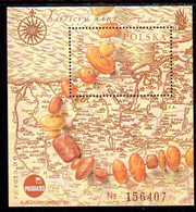 POLAND 1993 POLSKA Philatelic Exhibition; Amber Road Block MNH / **.  Michel Block 121 - Neufs