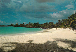 CPSM Comores-Grande Colore-Plage De Malouja    L812 - Comoren