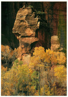 CPSM Zion National Park    L820 - Zion