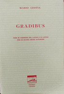 Gradibus - Mario Leotta (temi Di Versione Per Medie E Superiori) - ER - Ragazzi