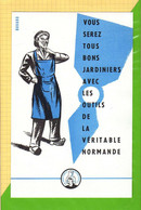 BUVARD & Blotting Paper : Vous Serez Tous Bons Jardiniers La Veritable Normande - Agricoltura