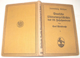 Deutsche Literaturgeschichte Des 19. Jahrhunderts - Sin Clasificación