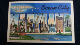 CPA GREETINGS FROM MARYLAND OCEAN CITY  ED CT ART COLORTONE USA 1940 - Ocean City