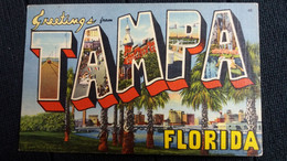 CPA GREETINGS FROM TAMPA FLORIDA ED GENUINE CURTEICH 1940 56 USA - Tampa