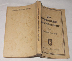 Die Urgeschichte Des Menschen - Politique Contemporaine