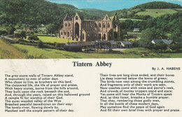 TINTERN ABBEY  Mint - Monmouthshire