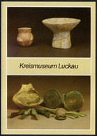 F2562 - TOP Luckau Museum - Bild Und Heimat Reichenbach - Luckau