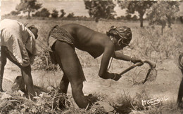 Soudan -  CP Photo - Jeune Paysanne Seins Nus Au Travail Dans Un Champs -  Scan Du Verso - - Soudan