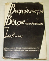 Begegnungen Mit Bülow Und Anderen - Biographies & Mémoires