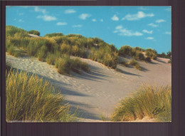 LA COTE D OPALE PAYSAGE DE DUNES - Nord-Pas-de-Calais