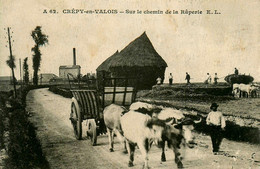 Crépy En Valois * Sur Le Chemin De La Râperie - Attelage Boeufs * Fenaison Scène Agricole Foins Agriculture - Crepy En Valois
