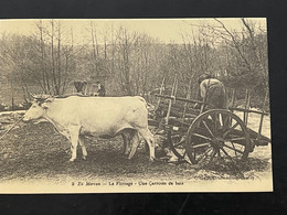 Cpa En Morvan Le Flottage , Une Çarrotée De Bois Edition Cecodi D’après 1900 Qualité - Franche-Comté