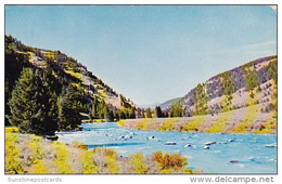 Gallatin River Bozeman Montana 1962 - Bozeman