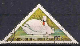 Mongolia 1973 Birds, Mute Swan - Cygnus Olor, Mi 795,  Cancelled(o) - Cisnes