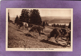 70 39 25 La Franche Comté Pittoresque  Les Pâturages  Troupeau De Vaches  Au Dessus D'un Lac - Franche-Comté