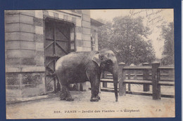 CPA éléphant écrite - Elephants