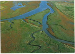 De Waddenzee - Een Uniek Natuurgebied: Slenken Op Het Wad - (Nederland/Holland) - Foto: Aerophoto Eelde, Herman Conens - Other & Unclassified