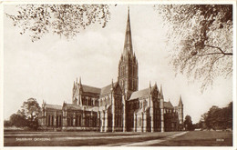 Salisbury Cathedral, Wiltshire 3939 (Valentine "Photo Brown") - Salisbury