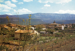 NANS LES PINS VUE GENERALE DANS LE FOND LE MASSIF DE LA SAINTE BAUME - Nans-les-Pins