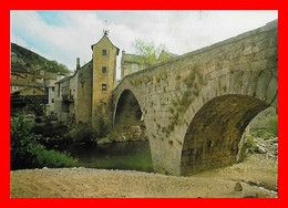 CPSM/gf (48)  LE PONT-de-MONTVERT.  Le Grand Pont Et L'Horloge...M224 - Le Pont De Montvert