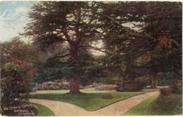 The Cedars, Caxton, Demesne, Co.Kildare 1909 - Kildare