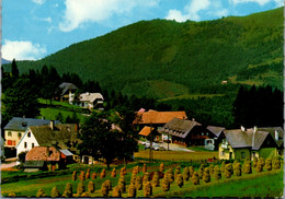 14816 - Steiermark - Heilbrunn , Gasthof Unterberger , Brandlucken - Gelaufen 1968 - Anger