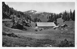 Flumsberg Obere Molseralp Gegen Maskenkamm - 1939 - Berg