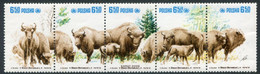 POLAND 1981 European Bison MNH / **.  Michel 2764-68 - Neufs